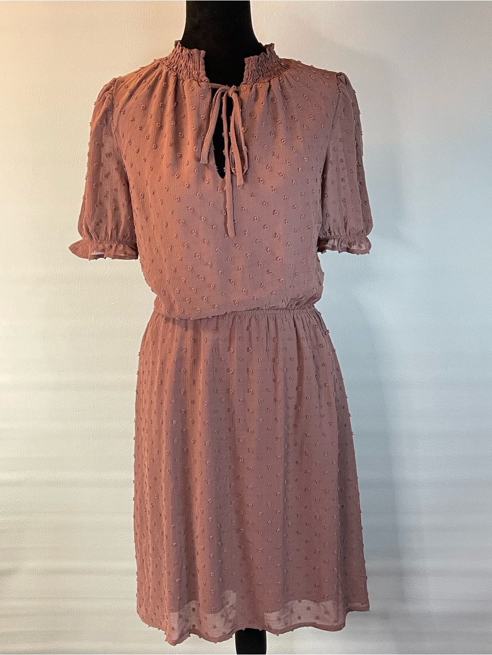 Dusty Rose Swiss-Dot Tie-Neck Mini Dress